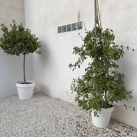 Med Time Boutique 4*