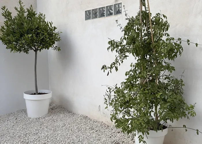 Med Time Boutique 4*